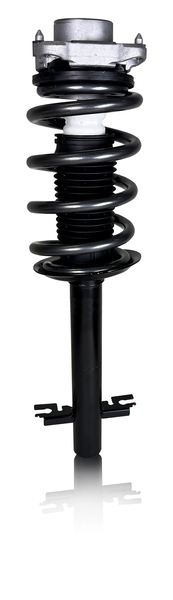 Linnepe ProShock Ducato Heavy