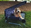 Köpek Yatağı DOG-BED Small