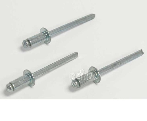 [REIMO-29441L] Çelik Kör Perçin 5x10 Dökme