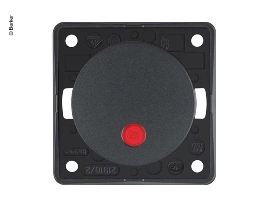 [REIMO-831426] Kontrollü Beşik Anahtar antrasit 230V
