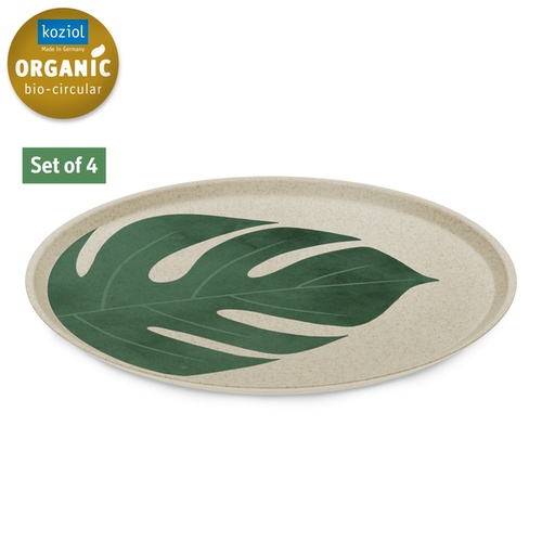 [REIMO-917612] Monstera Büyük Tabak
