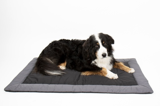[REIMO-993161] Dış Mekan Köpek Battaniyesi ABBY
