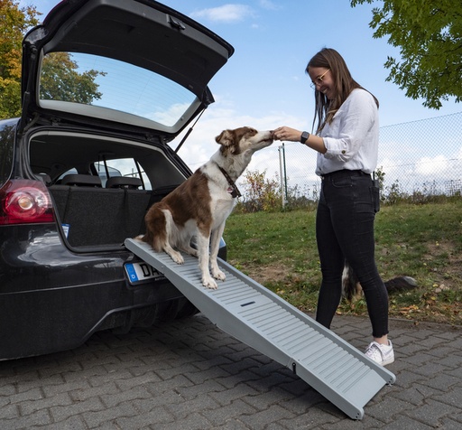 [REIMO-99335] Köpek Rampası EMMA